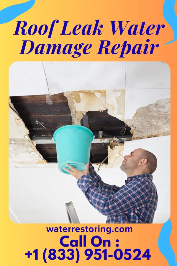 Roof Leak Water Damage Repair in Sausalito, CA